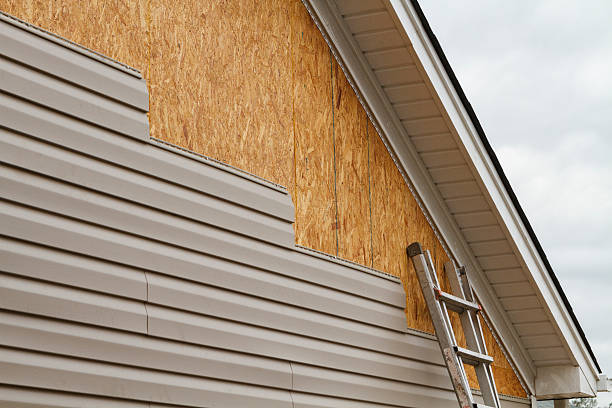 Professional Siding Replacement technician working in Lake Helen, FL